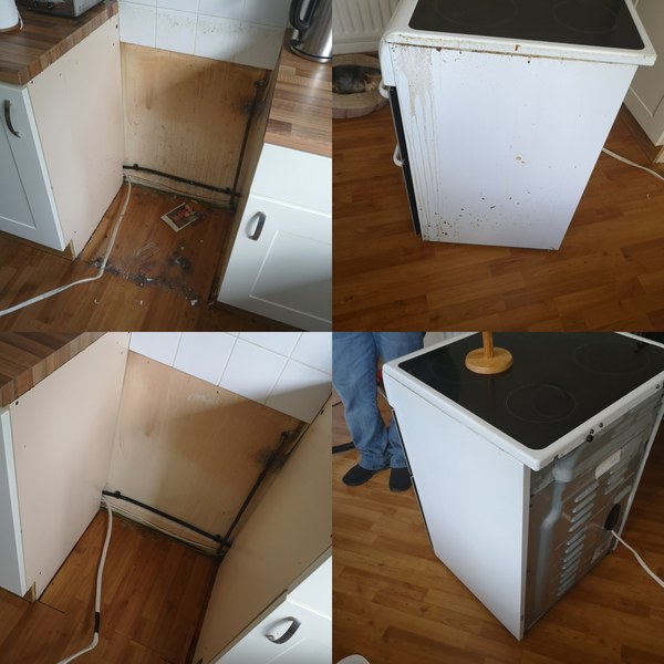 Before and after pictures. Who's with me?