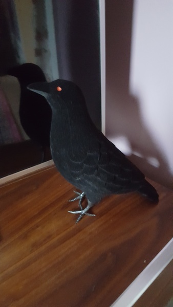 What can I buy from Argos for £4ish to win a bet?