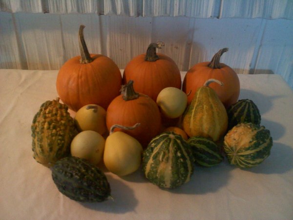 Any Witches Here ? Part 3