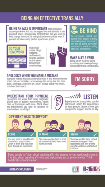 Being a trans ally: a guide for handmaidens