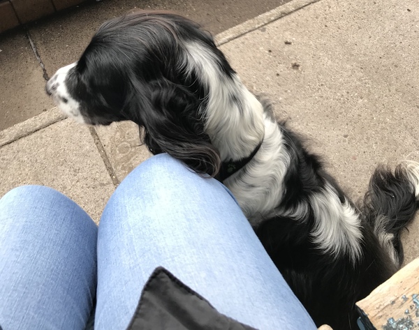 Spending October organising our spends - friendly frugaleers this way!