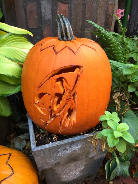 AaahhwoooooOOOOooOOOOo - it's the Halloween name change spooktacular!