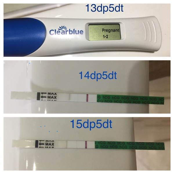 September/October IVF