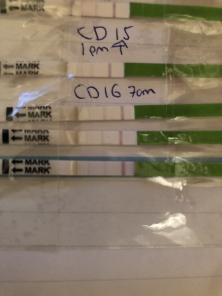 OPK help