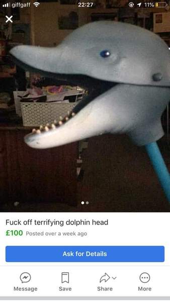 AIBU to be livid how dolphins are portrayed compared to how they are?