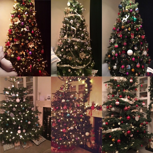 Christmas Trees! Show me yours!