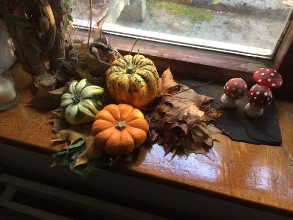 Any Witches Here ? Part 3