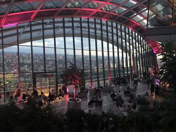Anyone been to the Sky Graden in London with kids?