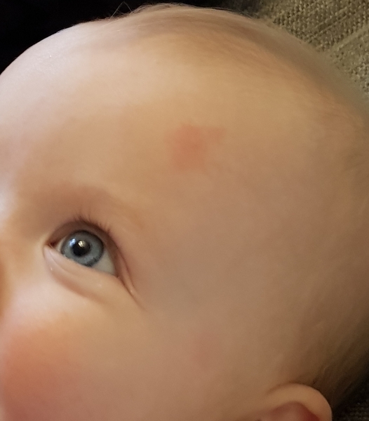 8 month old feeding stuff?