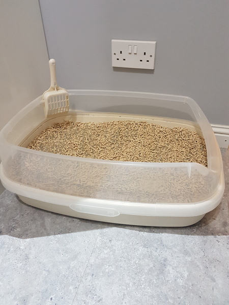 New litter tray.