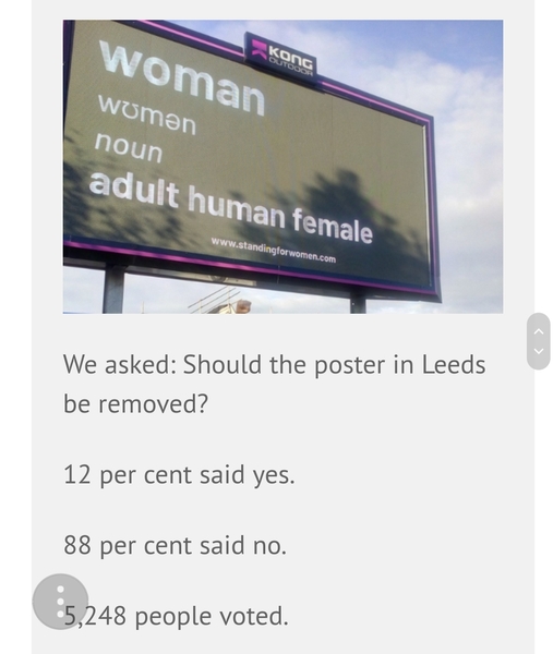 Vote online for Woman definition billboard
