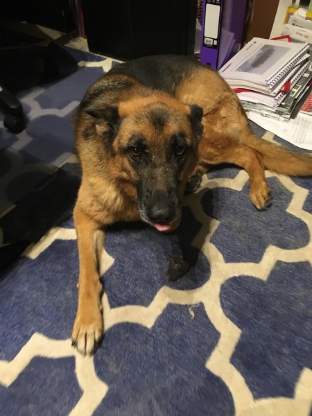 Scrimping through the remains of September, Austere Autumn approaching, frugal friendly 'Fred