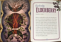 Any Witches Here ? Part 3