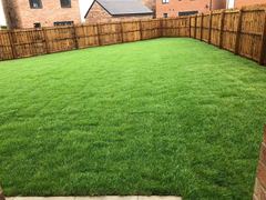 Tackling the garden tomorrow! Any tips?