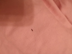 What is this??