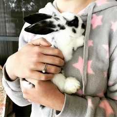 How much run space for two mini lop rabbits?