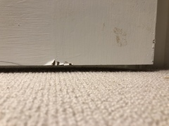 WWYD: damage caused by carpenter (with photos)