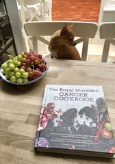 CANCER SUPPORT THREAD 65 - for anyone with cancer or waiting for cancer tests (pets welcome!)