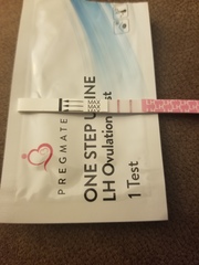 +OPK day of missed period