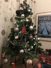 Christmas Trees! Show me yours!