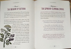 Any Witches Here ? Part 3