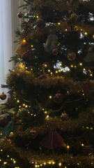Christmas Trees! Show me yours!