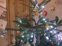 Christmas Trees! Show me yours!