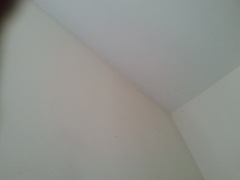 rendered wall moisture / mould on one wall