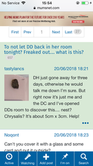 What the fuck is this in my house?