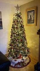 Christmas Trees! Show me yours!