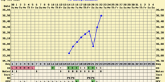 2DPO or 7DPO?