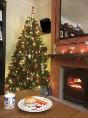 Christmas Trees! Show me yours!