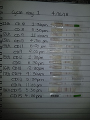 Help ovualtion tests