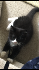 New Baby