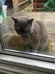 Westministenders: “No Deal is Better Than a Bad Deal?”