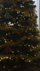 Christmas Trees! Show me yours!