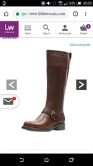 Which boots do I want???