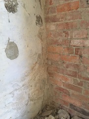 Plastering, insulation, repointing help needed!