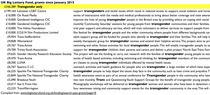A consultation guide for feminist and LGBTQ+ academics and allies circulated at my workplace