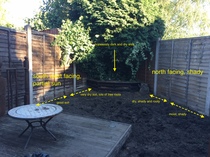 What would you do with this garden?