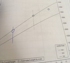 39+2 growth scan