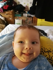 To clap my hands and skip about in a elephantine manner?