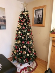Christmas Trees! Show me yours!