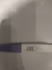 June 2019 - Thread 2