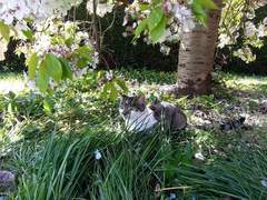Show me your favourite pictures of your cats