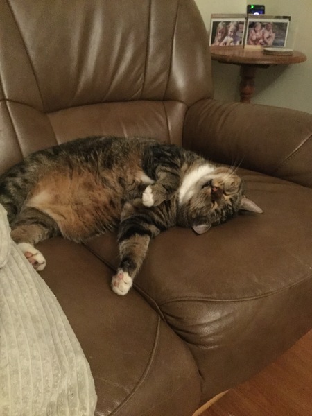 Floofy photos on Sunday