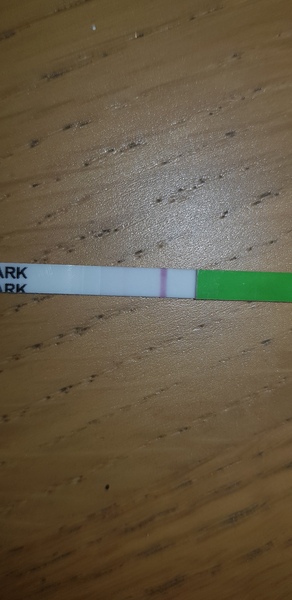 2 week wait