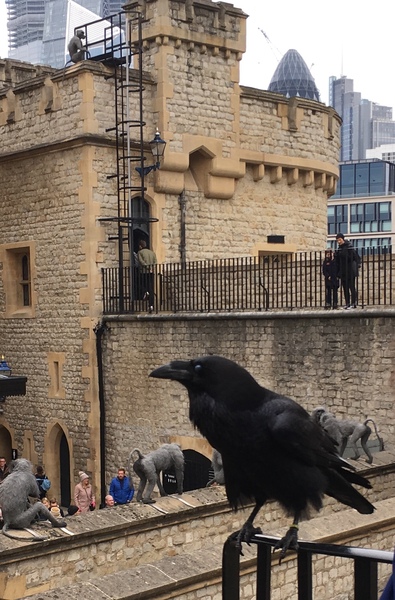 What can I buy from Argos for £4ish to win a bet?