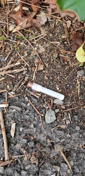 Is this a needle?