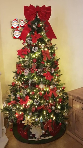 If you already have your tree up can I see it please?